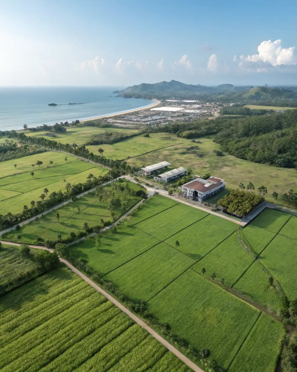 Prime Land Development in Mandalika | By Lombok Investor